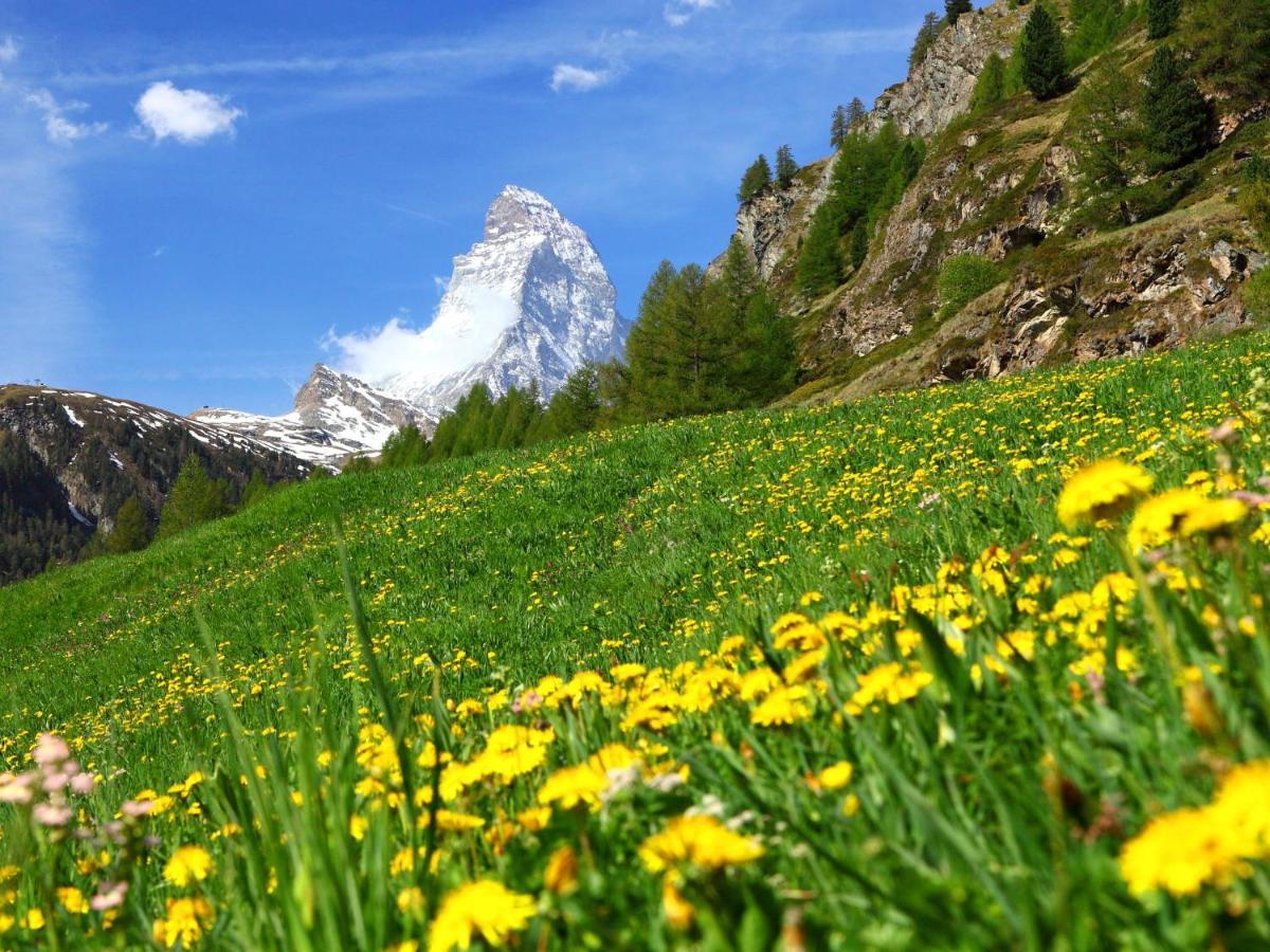 Apartment St- Martin By Interhome Zermatt Exteriér fotografie